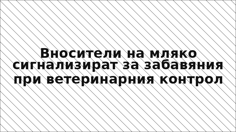 Вносители на мляко сигнализират за забавяния при ветеринарния контрол